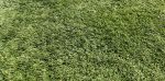 Voetbal Kunstgras 4m breed - Afbeelding 7