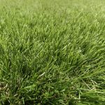 Kunstgras Lux Gano 40mm