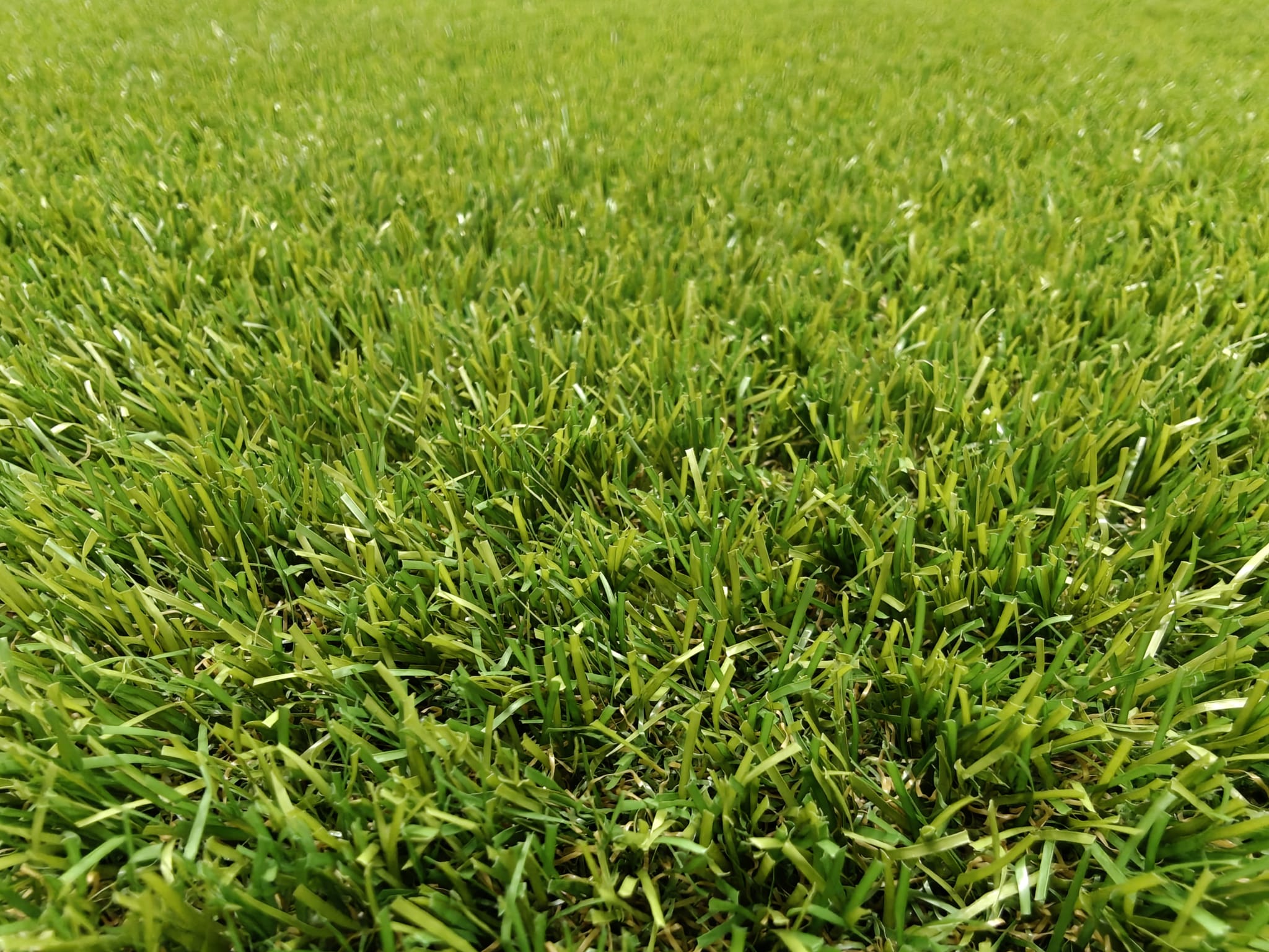 WhatsApp Image 2026-07-08 at 20.09.08 (2) Kunstgras Heaven 28mm - Afbeelding 1
